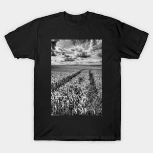 Waves Of Grain Black And White T-Shirt